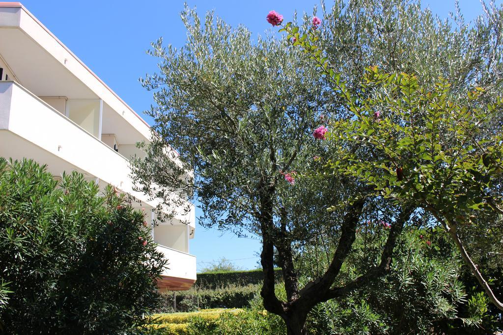 Eurobeach Residence Cavallino-Treporti Exterior foto